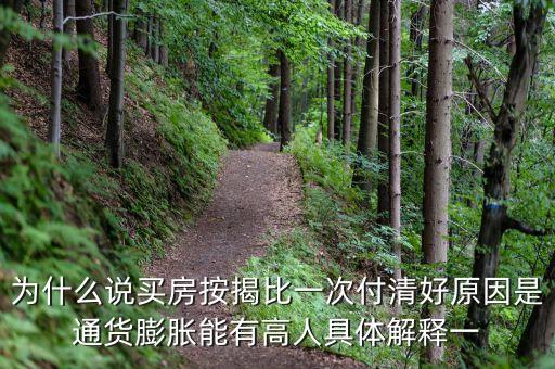 為什么說買房按揭比一次付清好原因是通貨膨脹能有高人具體解釋一