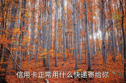 信用卡一般寄什么快遞，信用卡銀行郵遞通常用哪個快遞