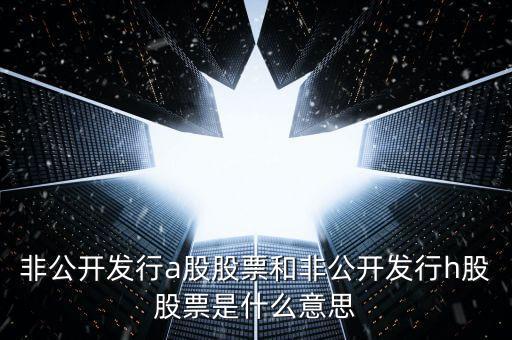 什么是非h股，非公開發(fā)行a股股票和非公開發(fā)行h股股票是什么意思