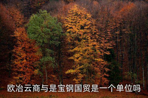 歐冶金融是什么企業(yè)，鋼鐵電商歐冶云商域名是寶鋼化還是有玄機(jī)