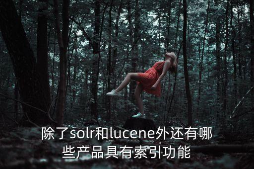 除了solr和lucene外還有哪些產品具有索引功能
