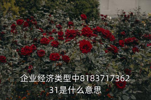 企業(yè)經(jīng)濟(jì)類型中818371736231是什么意思