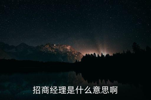 招商經(jīng)理是什么意思啊
