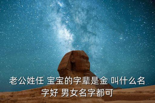 金任念什么，金字后面一個任讀什么