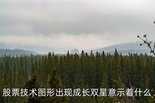 股票技術(shù)圖形出現(xiàn)成長(zhǎng)雙星意示著什么