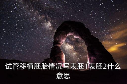 試管移植胚胎情況寫表胚1表胚2什么意思