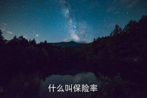 保險(xiǎn)vnb率是什么，保險(xiǎn)率是什么