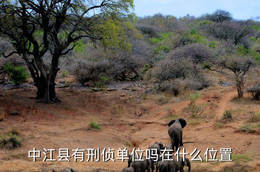 中江有什么機(jī)構(gòu)，中江國(guó)際有幾個(gè)會(huì)員單位