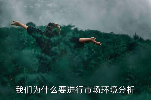我們?yōu)槭裁匆M(jìn)行市場環(huán)境分析