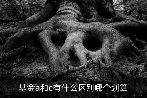 基金a和c有什么區(qū)別哪個(gè)劃算