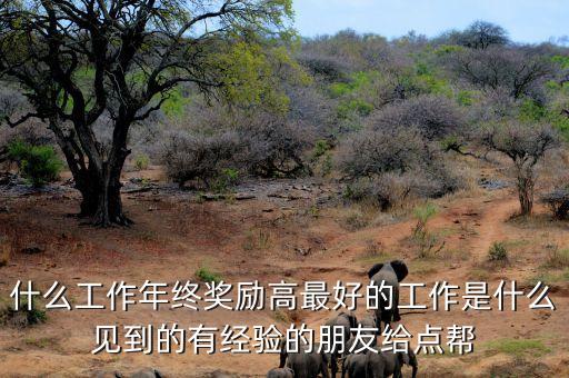 什么工作年終獎勵高最好的工作是什么見到的有經(jīng)驗(yàn)的朋友給點(diǎn)幫