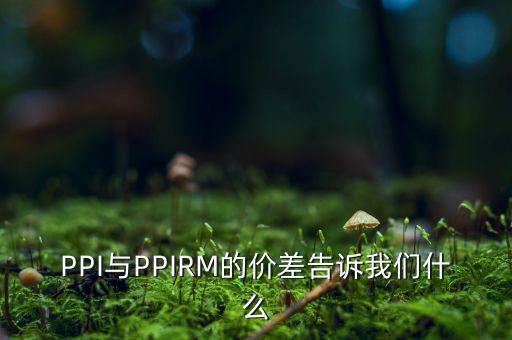 PPI與PPIRM的價差告訴我們什么