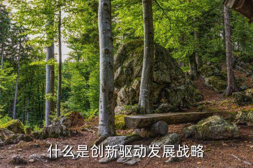 什么是創(chuàng)新驅(qū)動(dòng)發(fā)展戰(zhàn)略