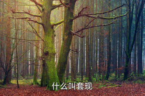 什么叫套現(xiàn)