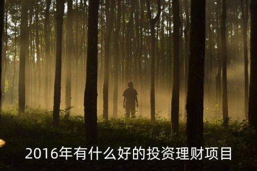2016投資什么，適合2016年投資創(chuàng)業(yè)的項(xiàng)目有哪些