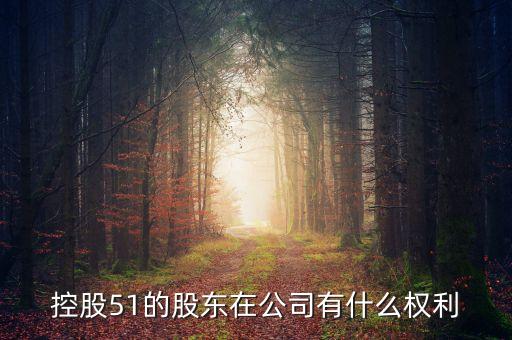 51股份有什么權(quán)利，股份里面51相對裁決權(quán)大概擁有什么權(quán)利我49