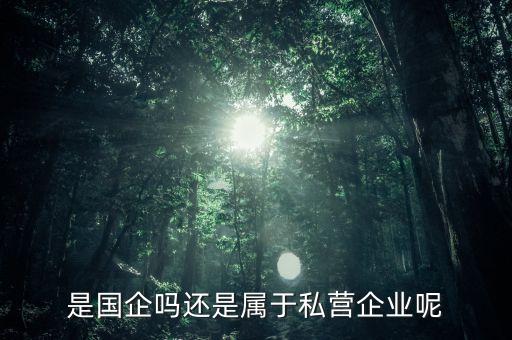 中船是什么企業(yè)，是國企嗎還是屬于私營企業(yè)呢