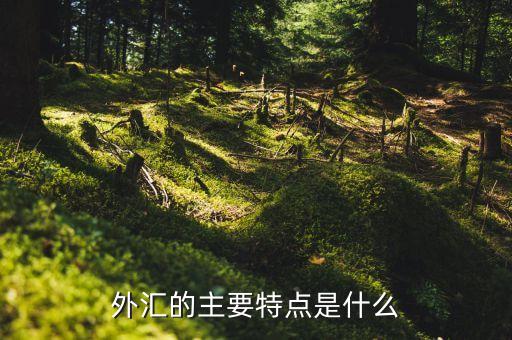 外匯的主要特點(diǎn)是什么，外匯的主要特點(diǎn)是什么