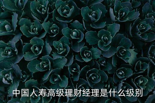 高級(jí)財(cái)富經(jīng)理是干什么的，中國(guó)人壽高級(jí)理財(cái)經(jīng)理是什么級(jí)別