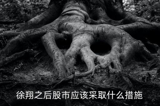 徐翔之后股市應該采取什么措施