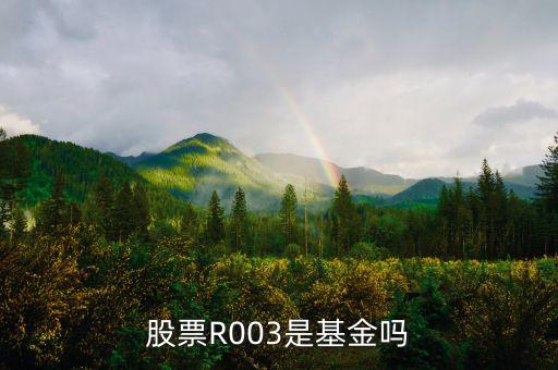 標(biāo)準(zhǔn)債券r003什么意思，股票R003什么玩意