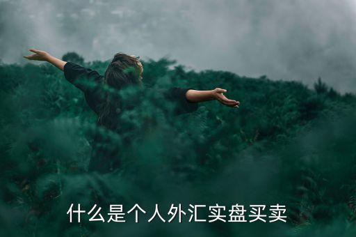 什么叫實盤買入，什么是個人外匯實盤買賣