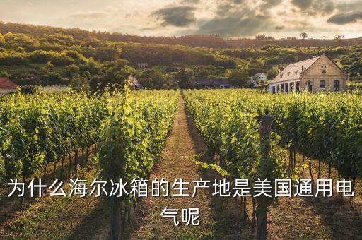 為什么海爾冰箱的生產地是美國通用電氣呢