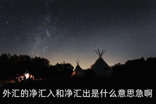 人民幣凈流出管理是什么意思，費(fèi)用的概念凈流出和總流出有甚么區(qū)分