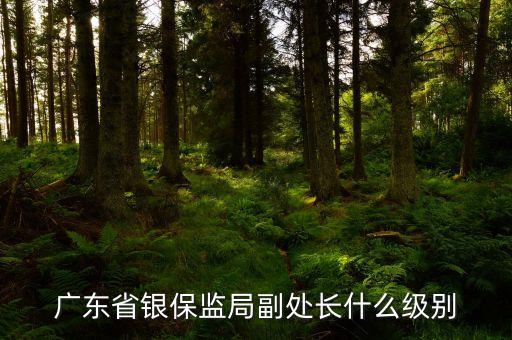 銀監(jiān)會副處長什么級別，銀行市分行財務處處長的問題謝謝