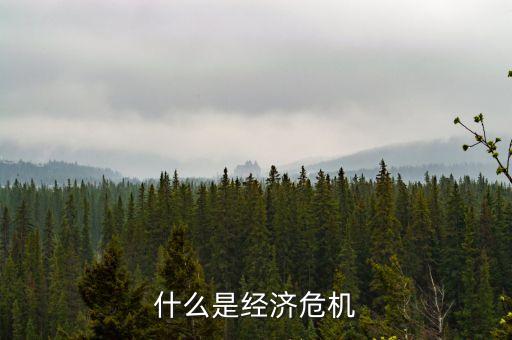 什么是經(jīng)濟(jì)危機(jī)