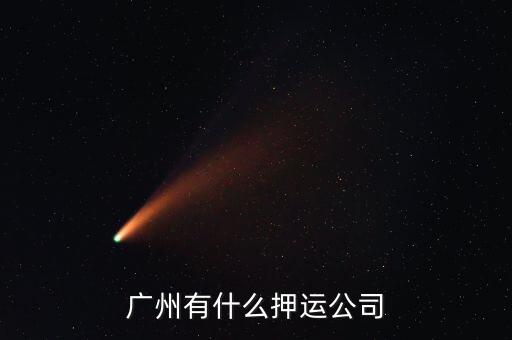 廣州金融押運有限公司是干什么的，我現(xiàn)在在廣州怎么坐車到深圳龍崗區(qū) 龍崗中心城南聯(lián)威豹金融押運