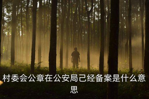 經(jīng)偵備案是什么意思，備案是什么意思