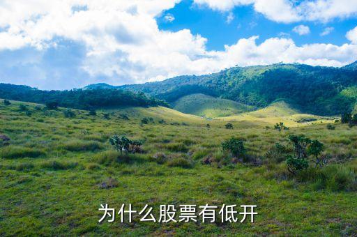 為什么股票有低開(kāi)