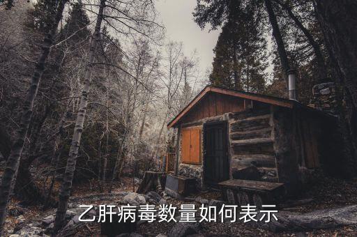 乙肝病毒20萬代表什么意思，乙肝DNA定量結(jié)果是100000是甚么意思
