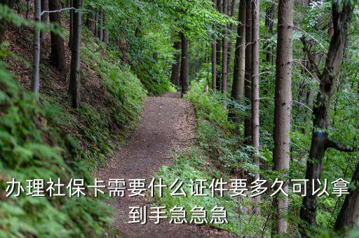 辦理社?？ㄐ枰裁醋C件要多久可以拿到手急急急