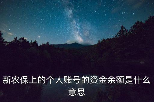 新農保上的個人賬號的資金余額是什么意思