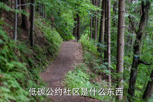 低碳公約社區(qū)是什么東西
