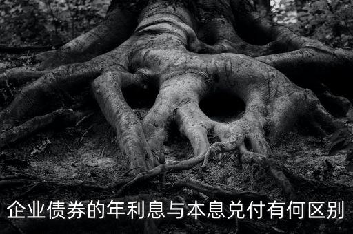企業(yè)債券的年利息與本息兌付有何區(qū)別
