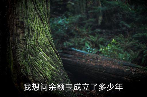 我想問余額寶成立了多少年