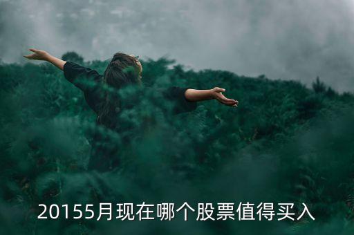 20155月現(xiàn)在哪個(gè)股票值得買(mǎi)入