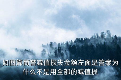 如圖算商譽減值損失金額左面是答案為什么不是用全部的減值損