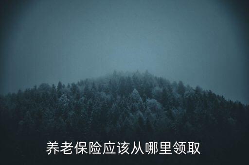 養(yǎng)老保險(xiǎn)應(yīng)該從哪里領(lǐng)取