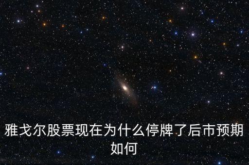 雅戈爾股票現在為什么停牌了后市預期如何