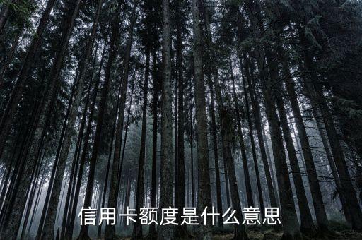 信用卡額度是什么，信用卡的參考額度是什么意思
