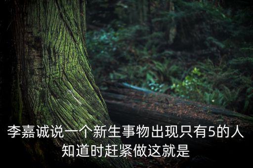 李嘉誠說的暗力是什么，李嘉誠究竟看到了什么可怕的地方