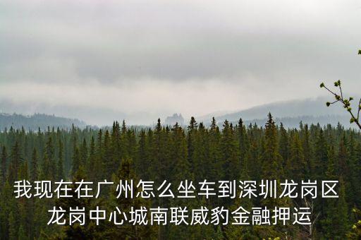 我現(xiàn)在在廣州怎么坐車到深圳龍崗區(qū) 龍崗中心城南聯(lián)威豹金融押運(yùn)