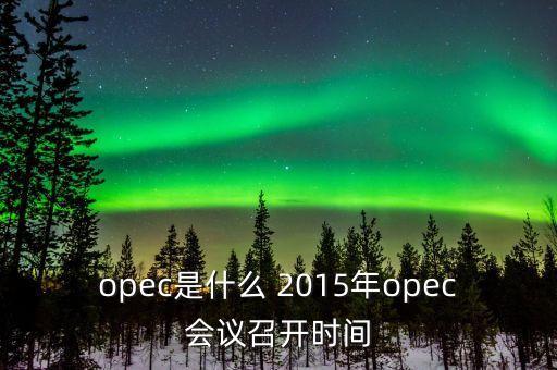 什么是opec會議，OPEC石油會議是什么時候召開啊石油價格會受影響嗎