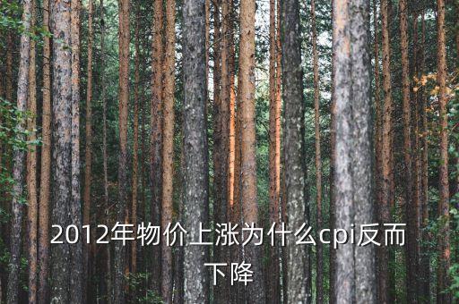 2012年什么原因?qū)е翪PI下降，描述繪制2012年19月我國CPI走勢并解析波動(dòng)的原因
