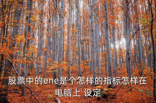 股票中的ene是個(gè)怎樣的指標(biāo)怎樣在電腦上 設(shè)定