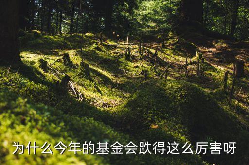 南嶺民爆為什么這么跌，我139進(jìn)的南嶺民爆現(xiàn)在22塊多了還能繼續(xù)拿著么